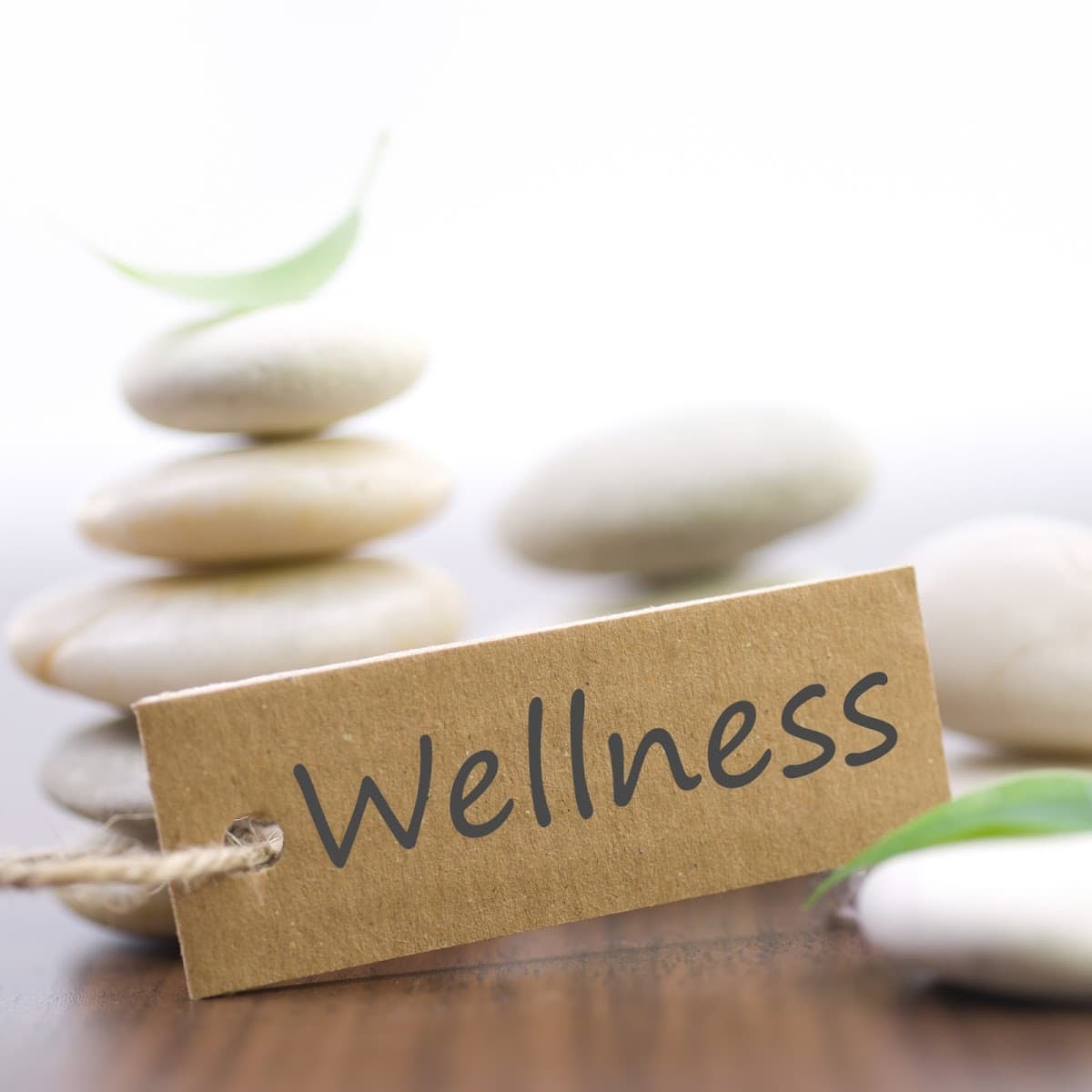 Ahura Wellness Pc - Photo 1