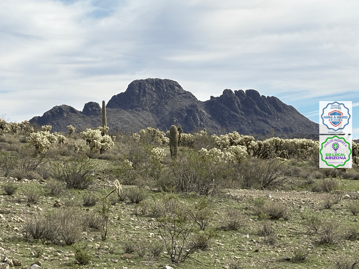 Arizona Family Health Llc - Photo 1