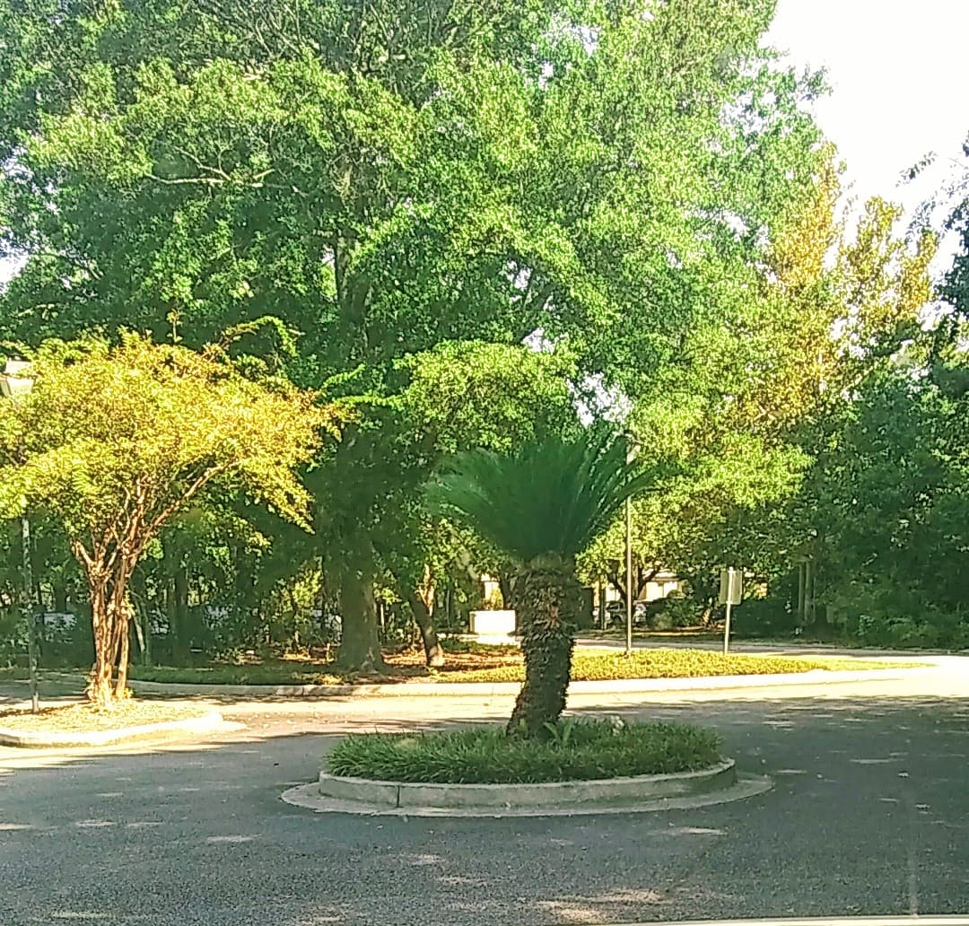 Carolina Family Care, Inc - Photo 1