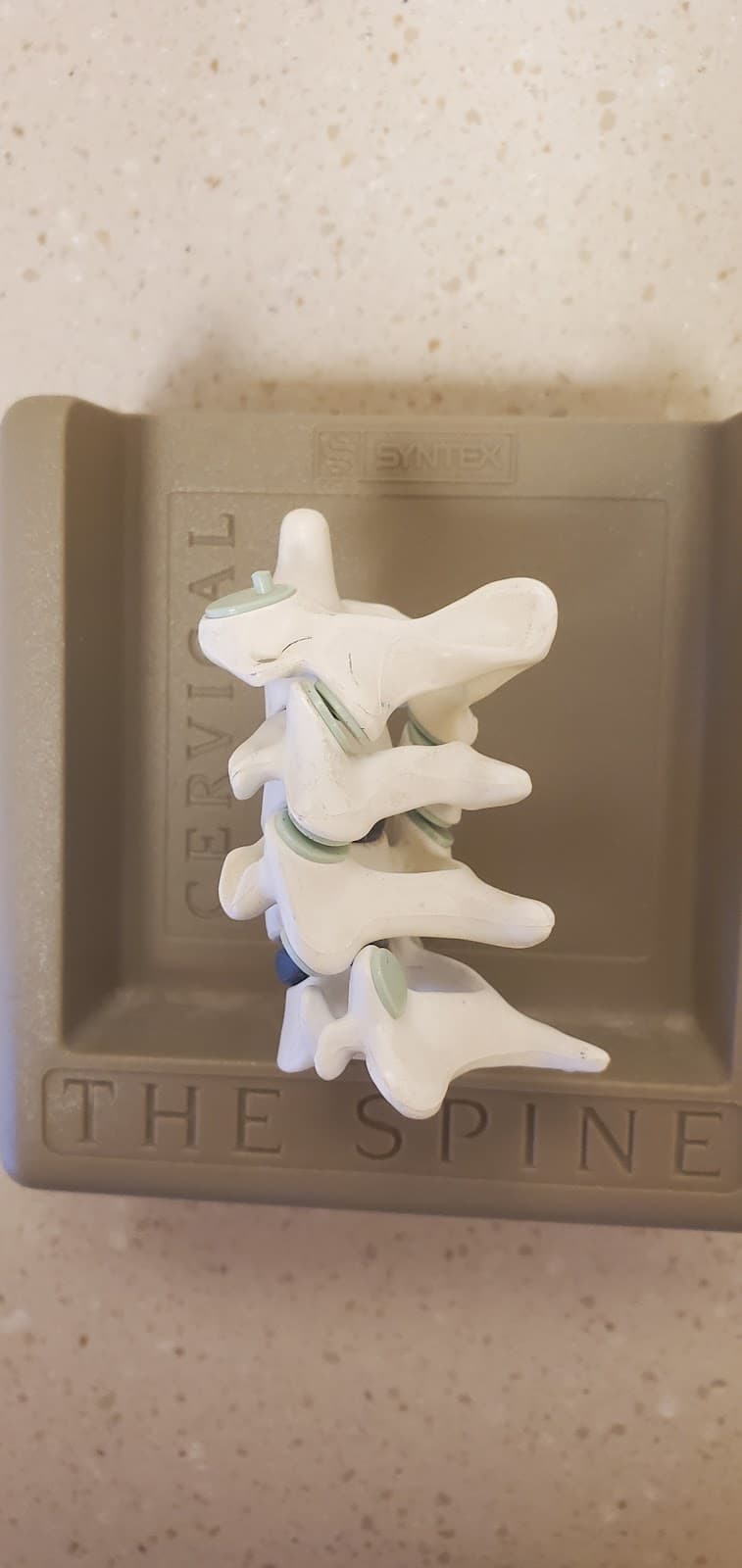 Carolina Spine & Neurosurgery Center Pa - Photo 2