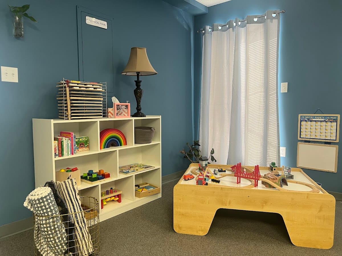 Milestones Play Gym & Pediatric Therapy Llc - Photo 1